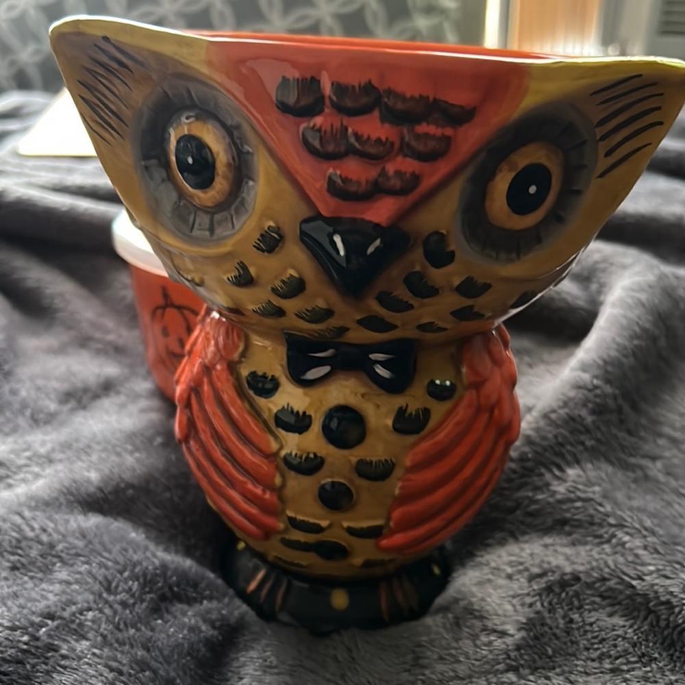 Johanna Parker Owl